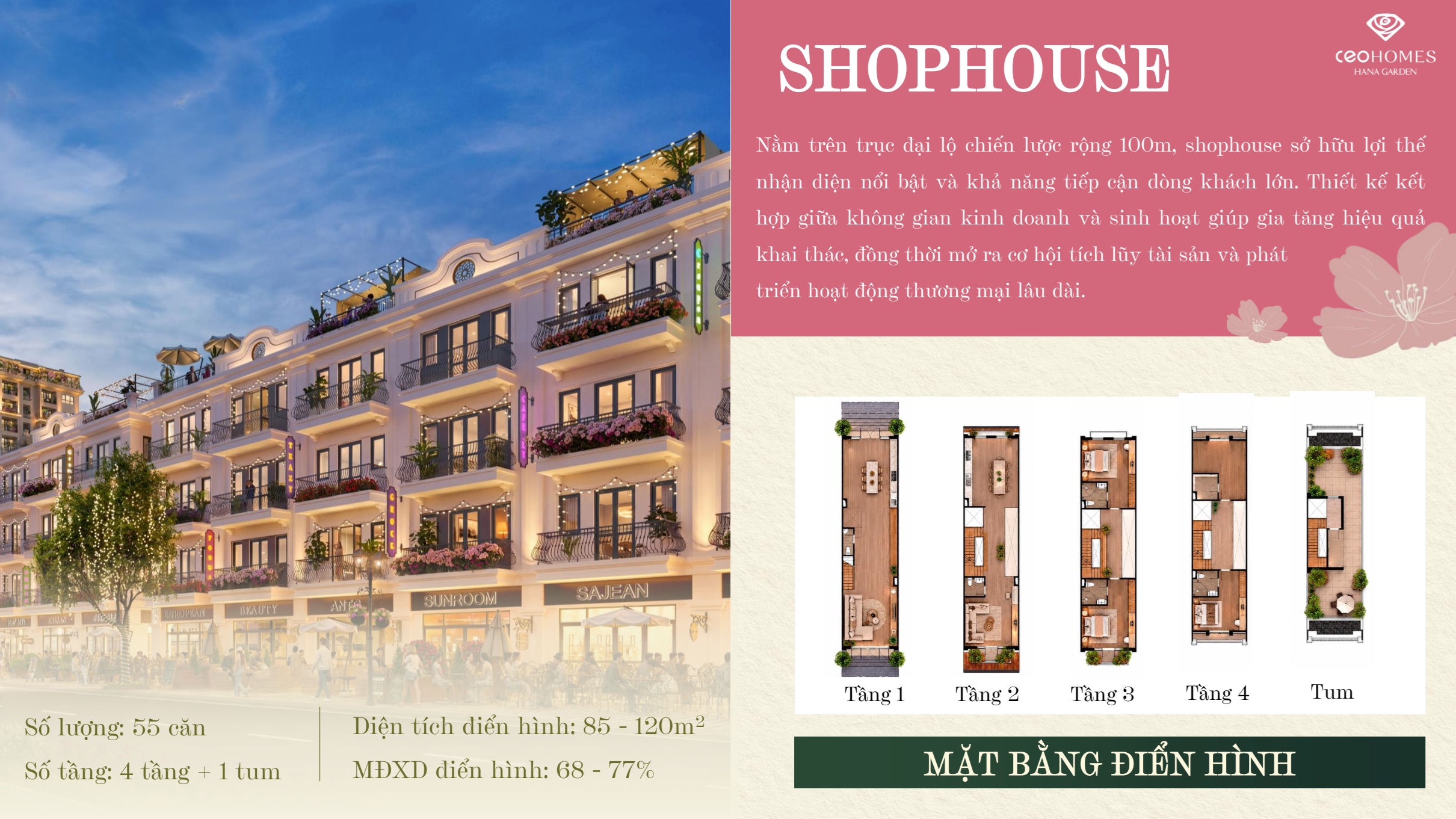 Thiết kế shophouse - Ceohomes Hana Garden